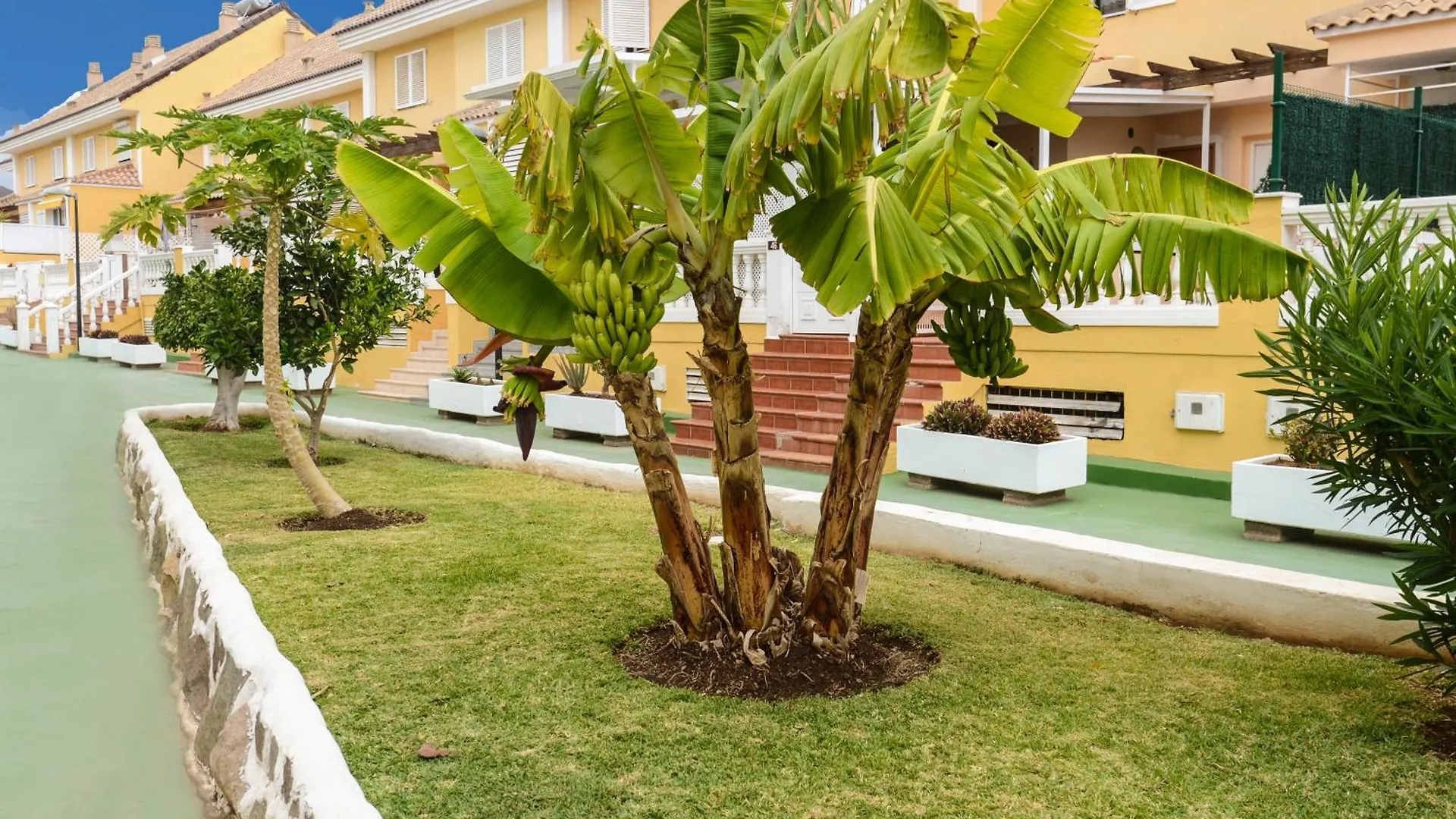 דירה פלאייה דה לאס אמריקס Tenerife Sur Cristianos,Parking,Air,Wifi